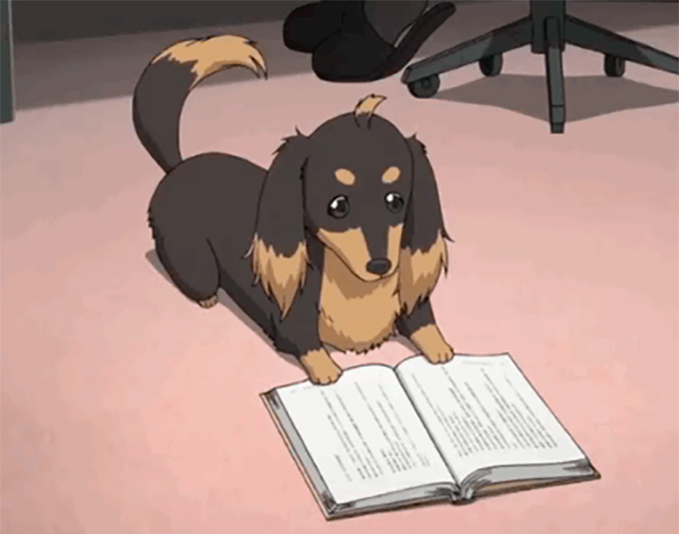 25 Best Anime Dogs  Man s Best Friend in Anime Shows   Movies   FandomSpot - 90