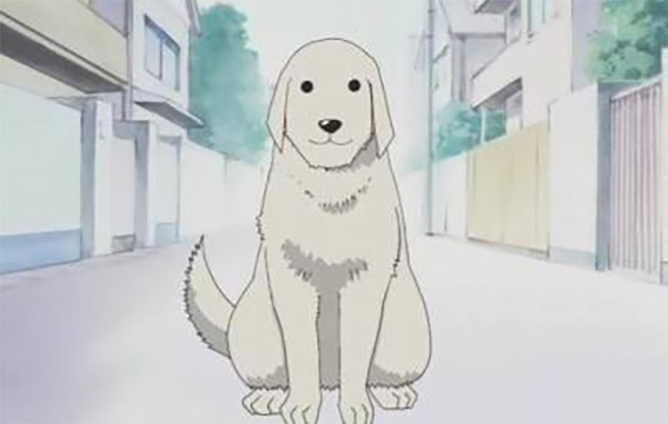 25 Best Anime Dogs  Man s Best Friend in Anime Shows   Movies   FandomSpot - 72