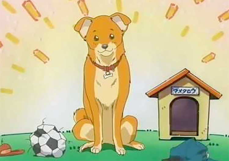 25 Best Anime Dogs  Man s Best Friend in Anime Shows   Movies   FandomSpot - 96