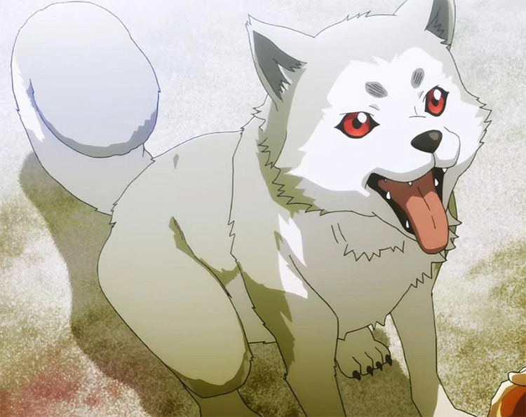 25 Best Anime Dogs  Man s Best Friend in Anime Shows   Movies   FandomSpot - 53