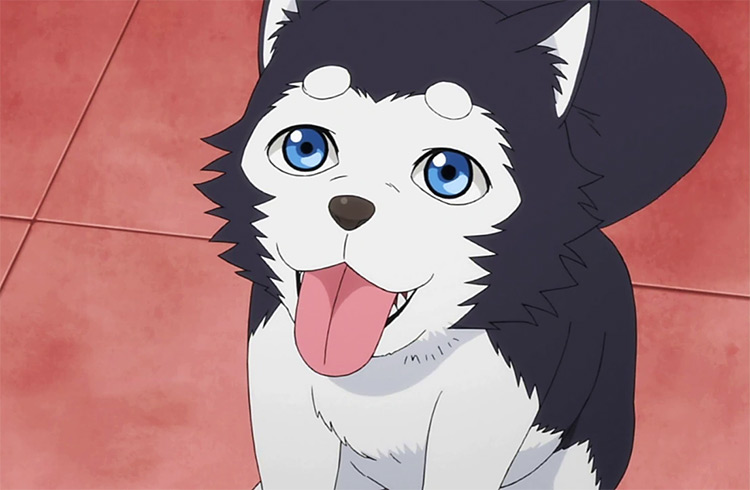 25 Best Anime Dogs  Man s Best Friend in Anime Shows   Movies   FandomSpot - 73