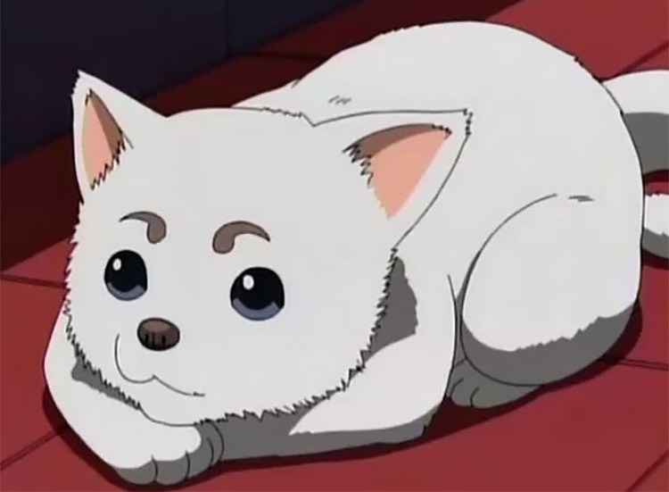 Top 20 Cute Anime Dogs  MyAnimeListnet