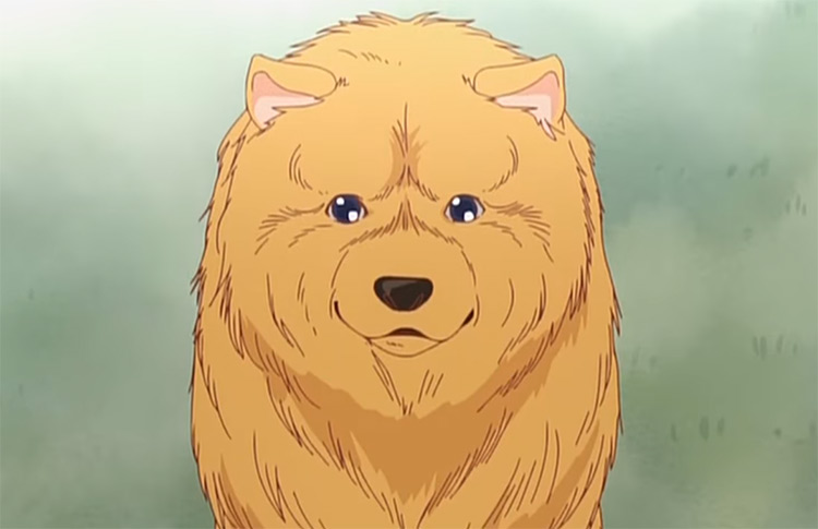 25 Best Anime Dogs  Man s Best Friend in Anime Shows   Movies   FandomSpot - 14