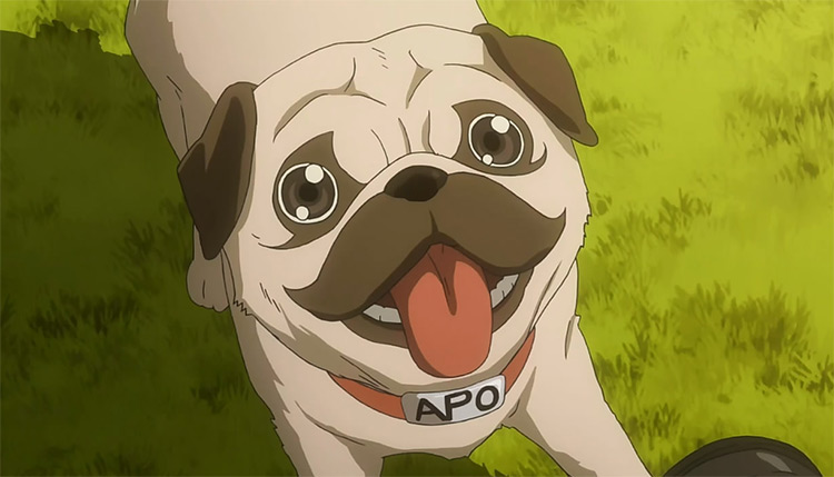 25 Best Anime Dogs  Man s Best Friend in Anime Shows   Movies   FandomSpot - 80