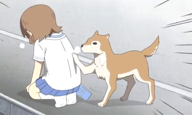 Buddy in Nichijou Anime