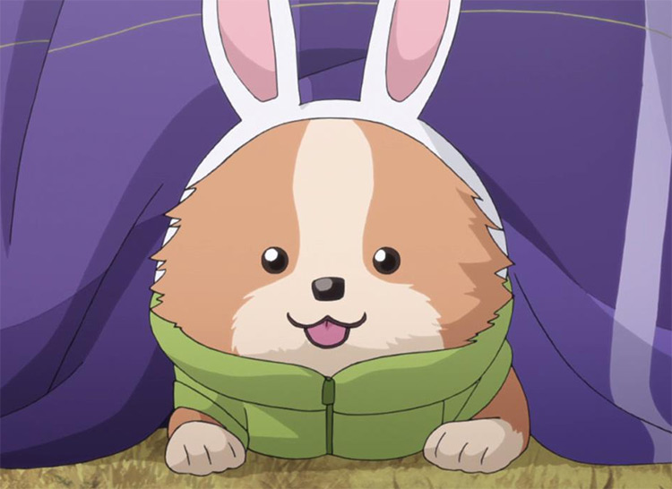 Chikuwa in Yuru Camp Anime