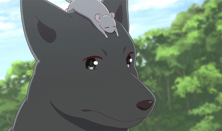 Watch The My Life as Inukai-san's Dog Anime January 5 on HIDIVE