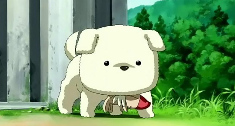 Top 50 Best Anime Dogs Most popular of all time