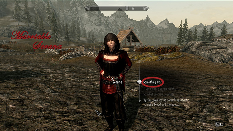 multiple marriage mod skyrim