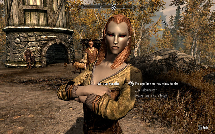 skyrim spouses enhanced mod