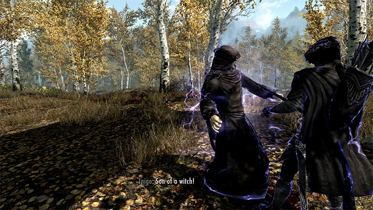 20 Best Follower Mods For Enhancing Skyrim  All Free    FandomSpot - 13