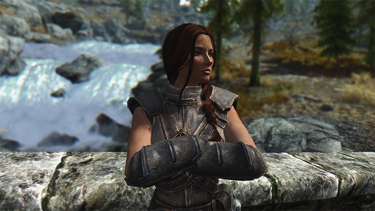 skyrim best followers mod