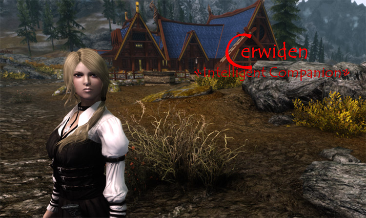 best follower overhaul skyrim