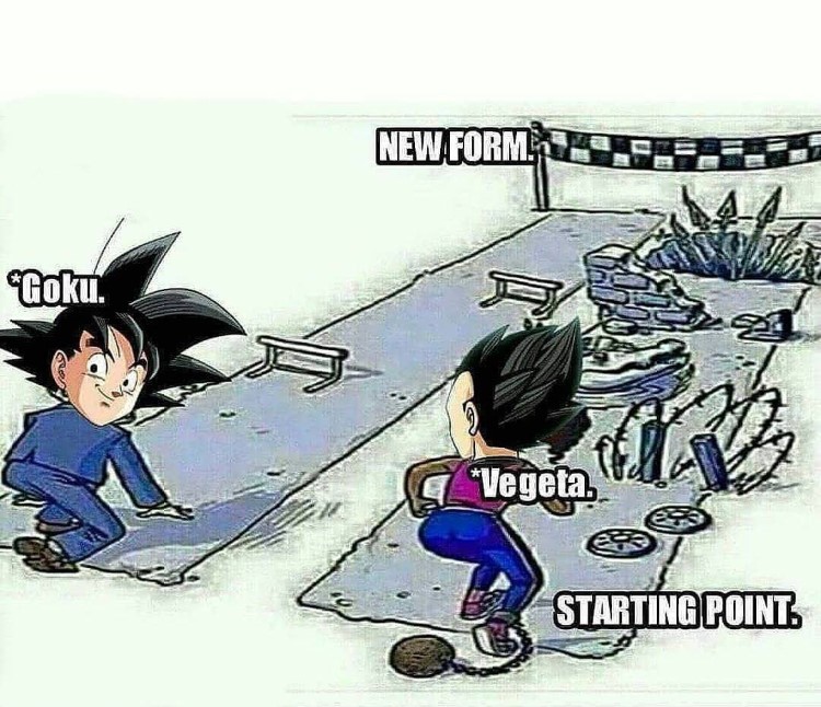 Goku Vegeta racing meme