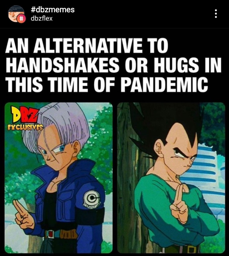 DBZ pandering meme