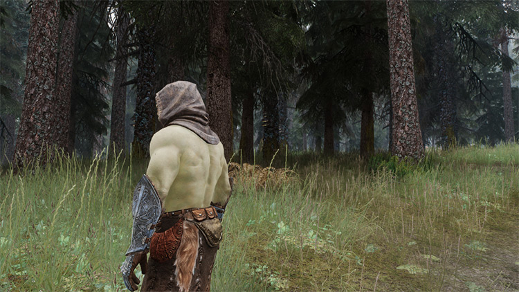 best skyrim enb mod