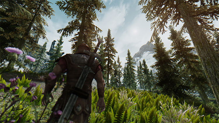 skyrim special edition enb presets