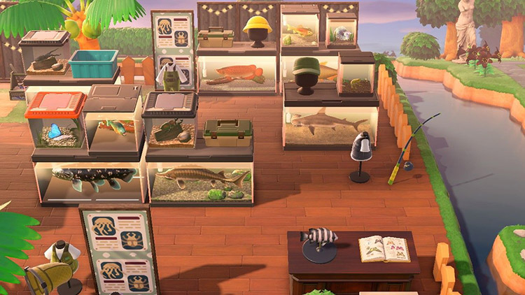 Pet shop with insects for sale / ACNH Idea
