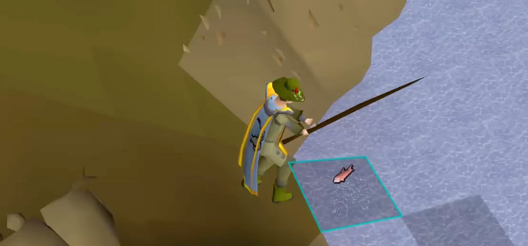 OSRS Character Fishing For Salmon