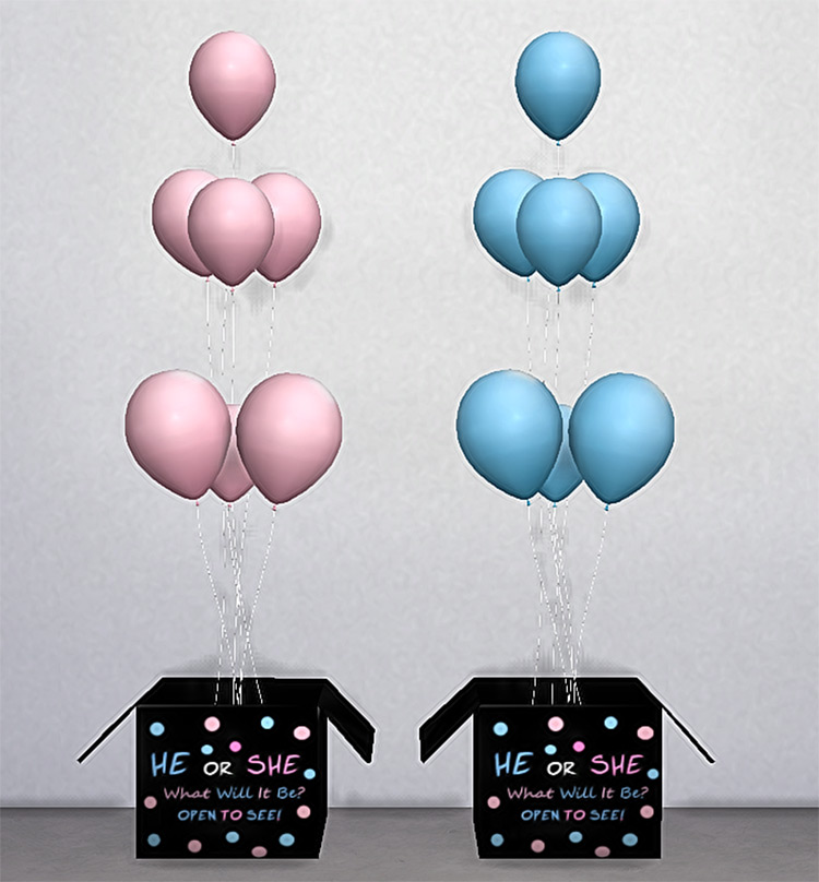 Gender Reveal Box for Sims 4