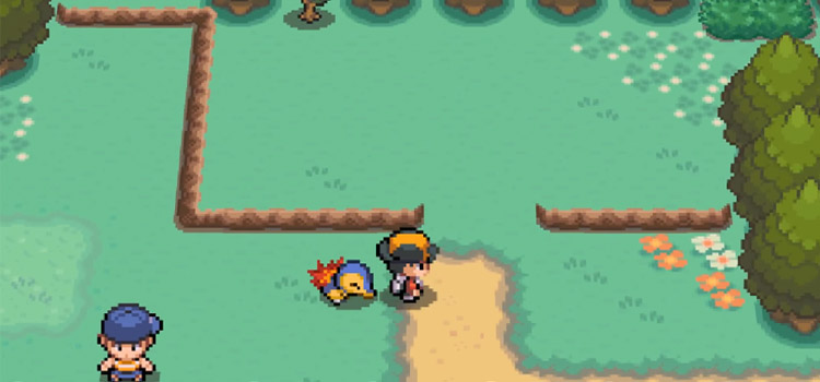 Route 29 Johto, Pokémon Heartgold & Soulsilver