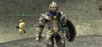 Paladin Geared Up in Final Fantasy XI