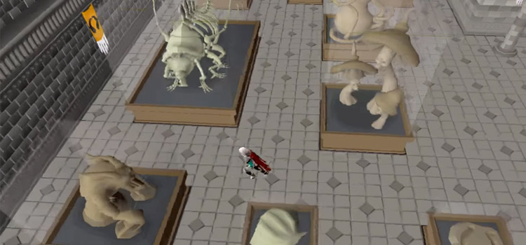 Varrock Museum Fossil Exhibit in Old School RuneScape