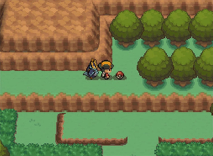 Route 28 Flamethrower TM Location in Pokemon HGSS