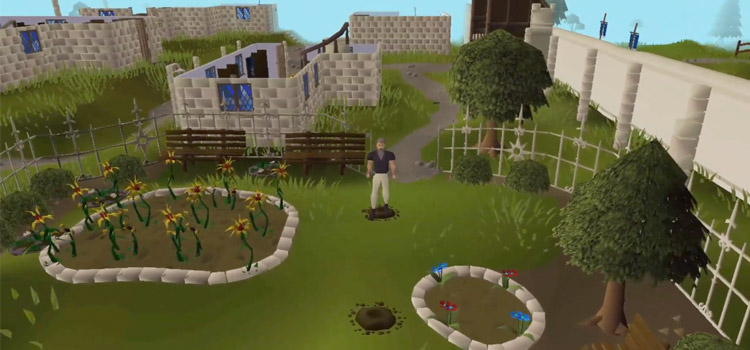 Flowerbeds Seed Gardens in Old School RuneScape