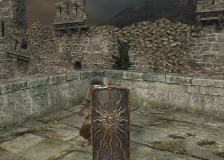 The Best Greatshields in Dark Souls 2  All Ranked    FandomSpot - 89