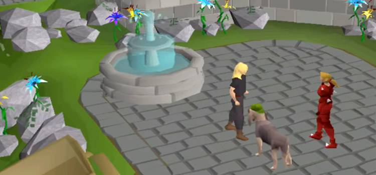 Bloodhound Pet Screenshot in Old School RuneScape