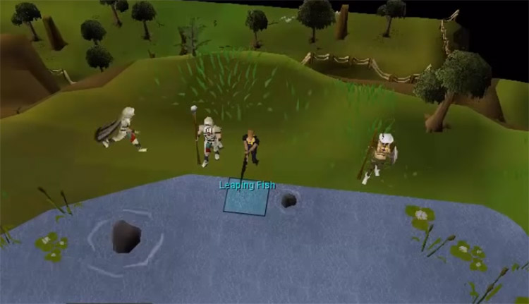 Barbarian fishing screenshot in OSRS