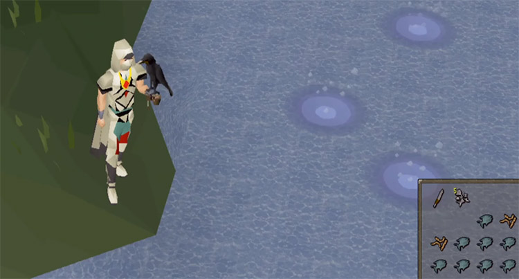 Aerial Fishing in OSRS