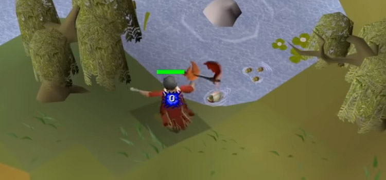 Woodcutting Guild Willow Trees in OSRS