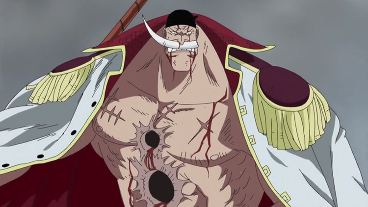 Whitebeard from One Piece anime