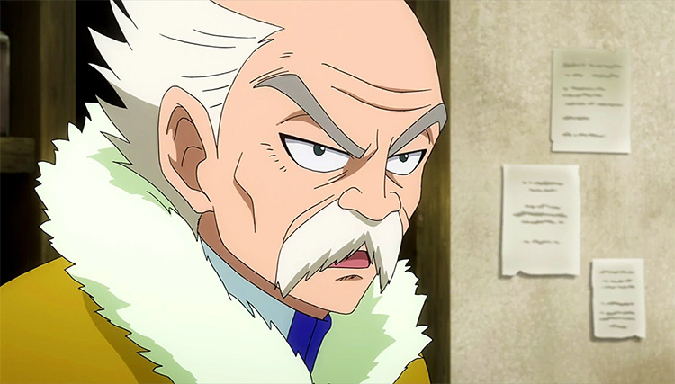 25 Iconic Old   Elderly Anime Characters  The Ultimate List   FandomSpot - 86