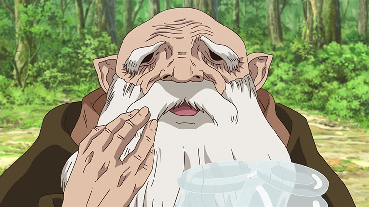 25 Iconic Old Elderly Anime Characters The Ultimate List Fandomspot ...