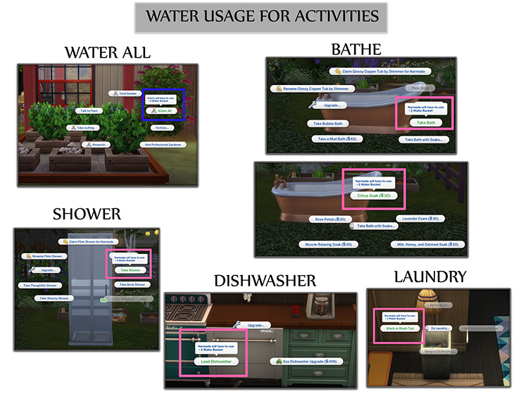 Functional Water Pump / TS4 CC