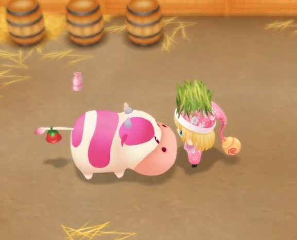 The farmer hand feeds a strawberry cow with fodder / SoS: FoMT
