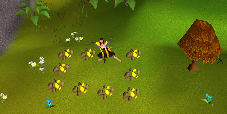 Surrounded by gold and flowers / OSRS