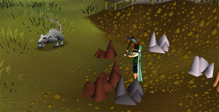 Mining with some rodent-company. / OSRS