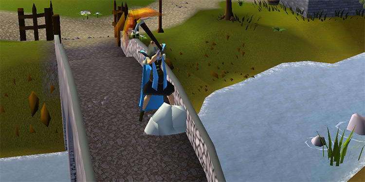The mining cape emote / OSRS