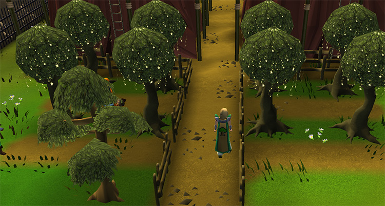 Magic trees inside the guild / OSRS