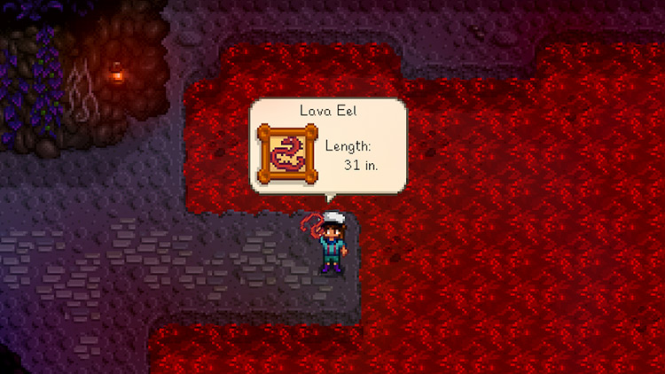 Successfully catching a lava eel / Stardew Valley