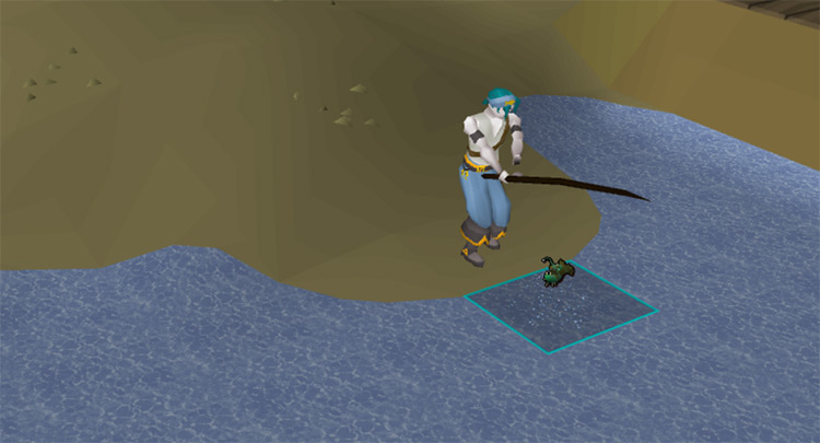 Fishing with Spirit Flakes / OSRS