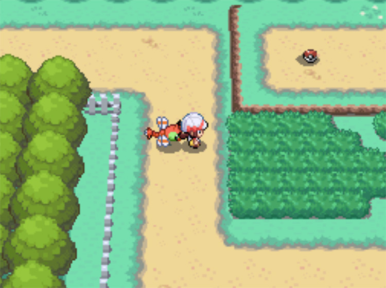 Route 15, the most convenient place to find wild Chansey / Pokemon HG/SS