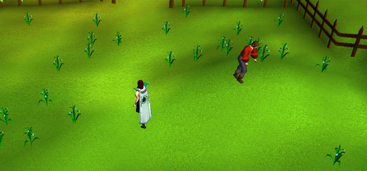 OSRS: What’s The Best Flax Spinning Spot?