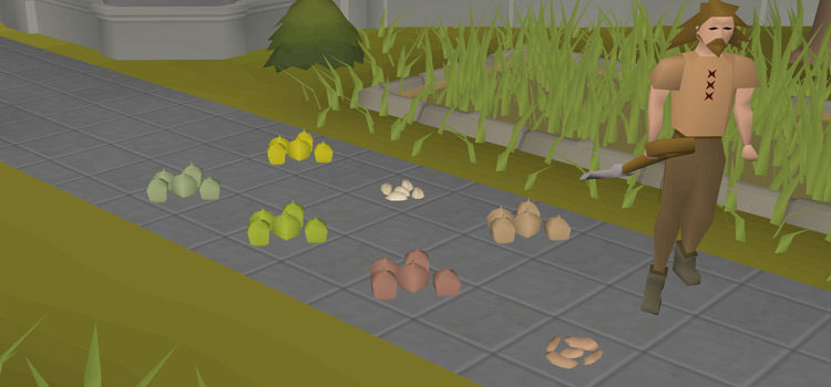 OSRS: What's The Best Way To Get Hop Seeds?