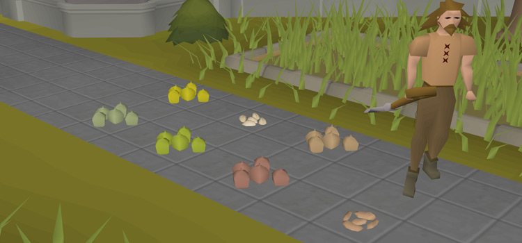 Hops Seeds on the ground (OSRS)