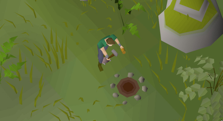 Player setting up a bird house on Fossil Island / OSRS
